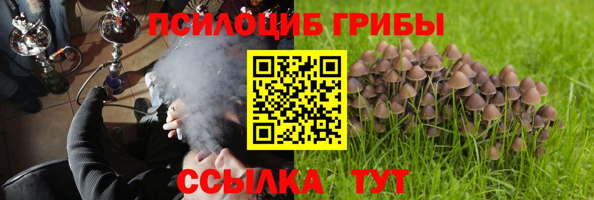 Псилоцибиновые грибы MAGIC MUSHROOMS Гусь-Хрустальный